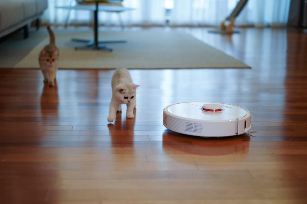 Cats and Robot Vacuums